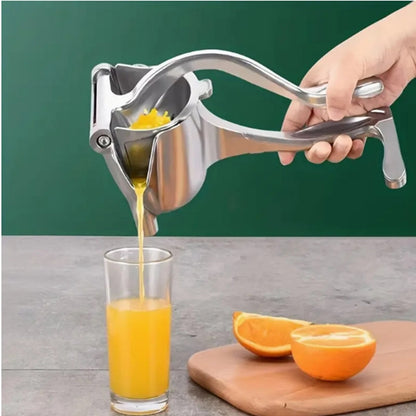 Fruit Juicer